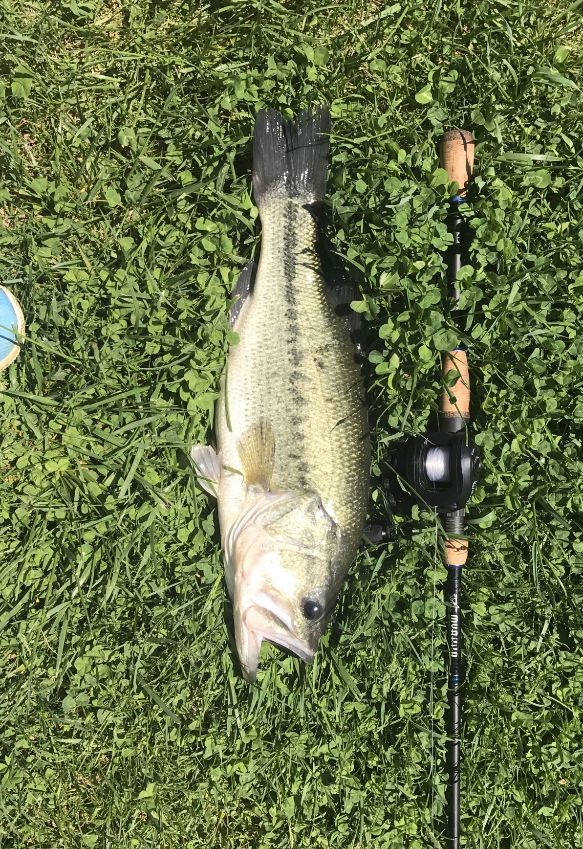 Quad-City Times Best Fish Photo Contest